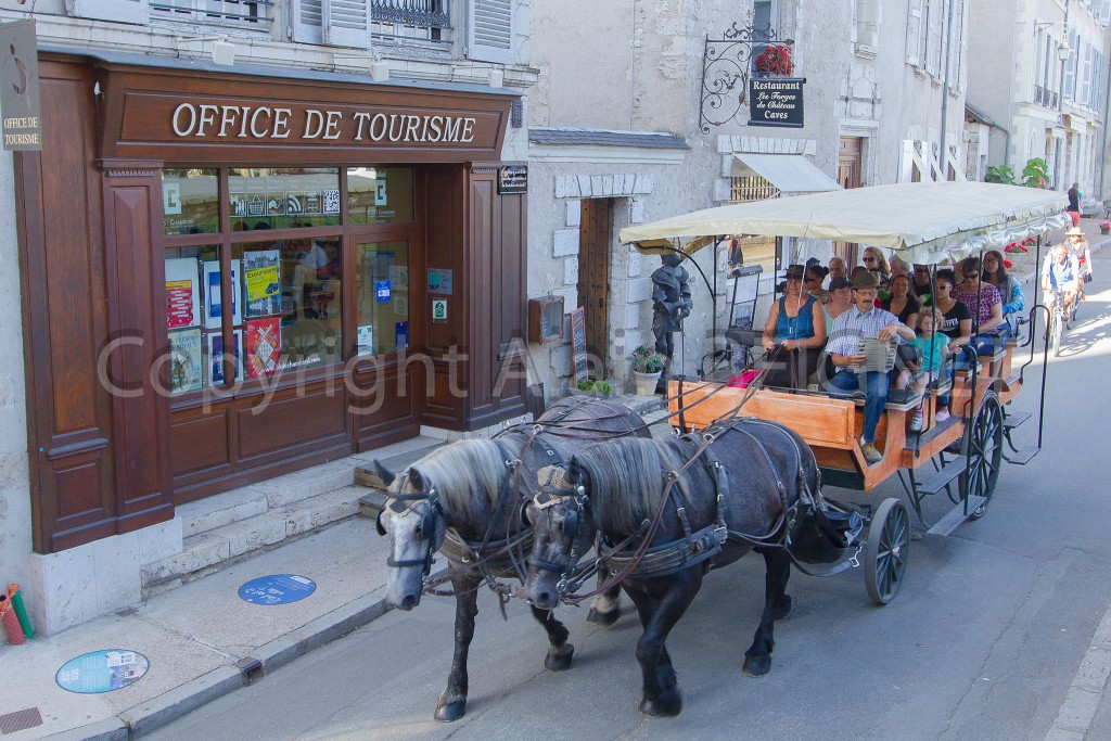 Balade en voiture à cheval à Blois