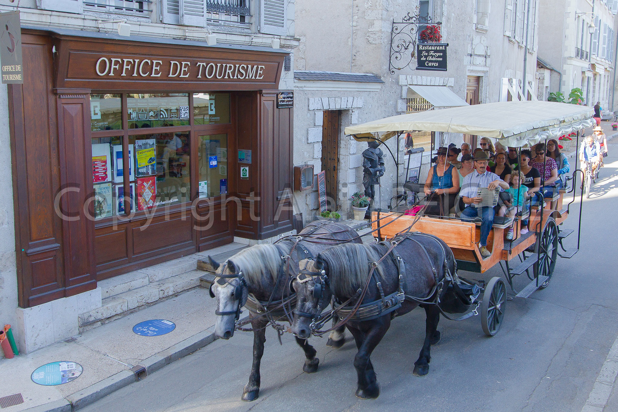 Balade en voiture à cheval à Blois