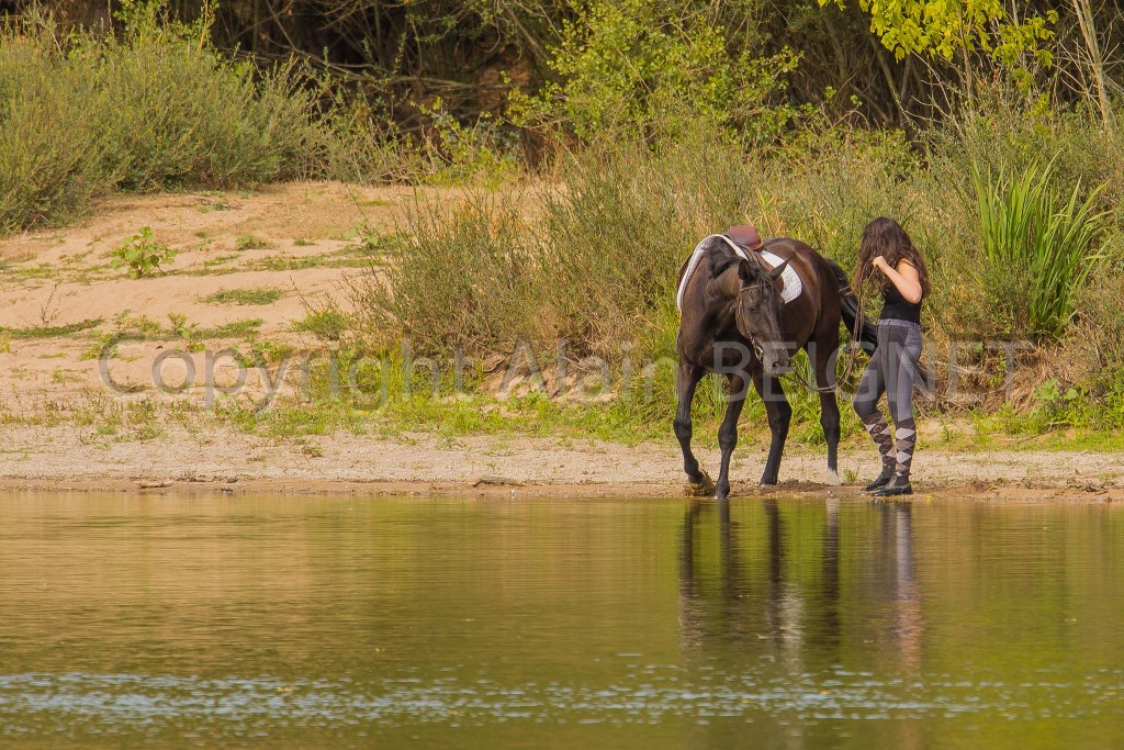 Cavalière en bord de Loire